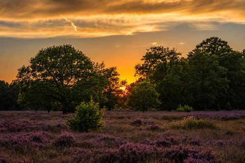 landschapsfotografie