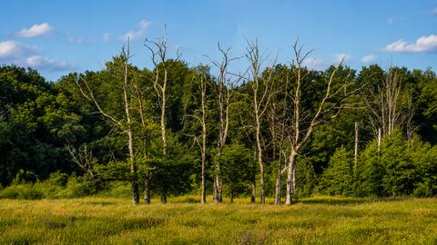 landschapsfotografie