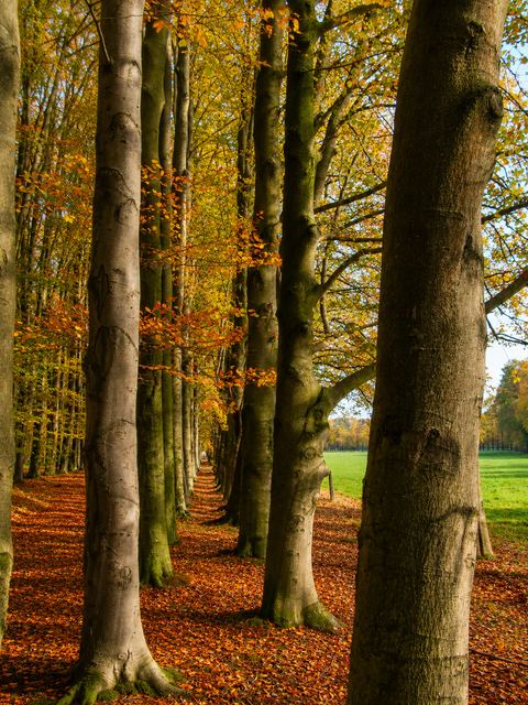 landschapsfotografie