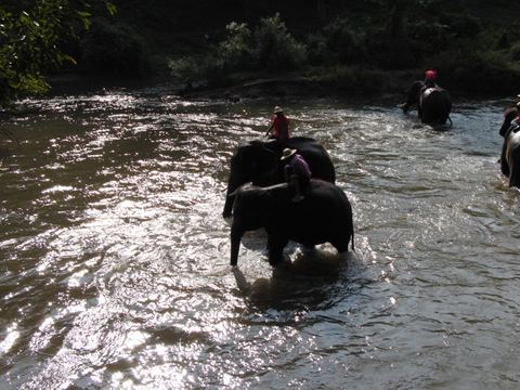 Bangkok & Phang Nga, Thailand, 2008
