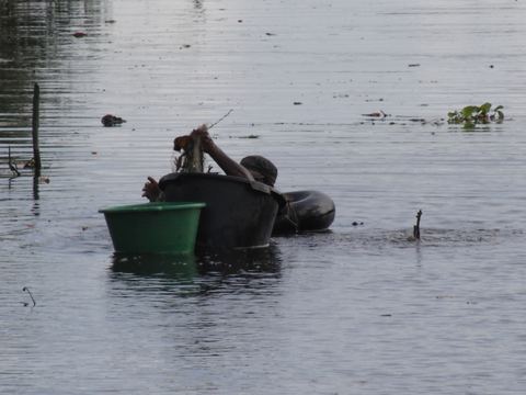 Paramaribo e.o., Suriname, 2008