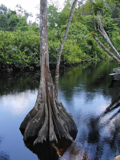 Paramaribo e.o., Suriname, 2008