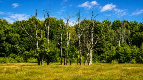landschapsfotografie