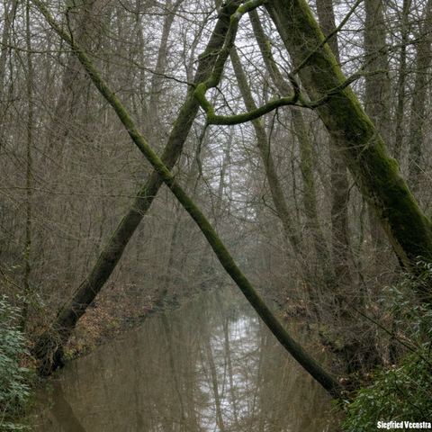 landschapsfotografie