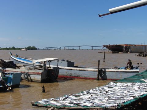 Paramaribo e.o., Suriname, 2008