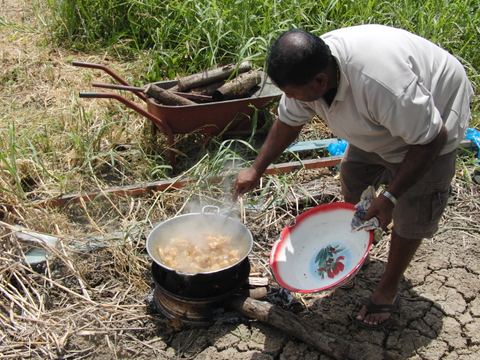 Paramaribo e.o., Suriname, 2008