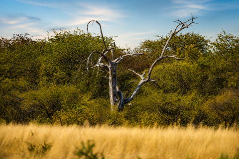 landschapsfotografie