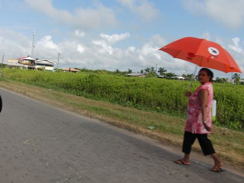 Paramaribo e.o., Suriname, 2008