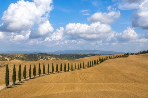 Toscane, 2024