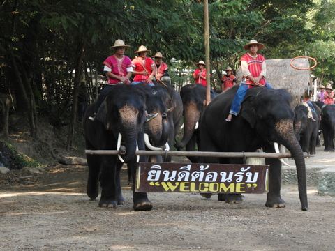 Bangkok & Phang Nga, Thailand, 2008